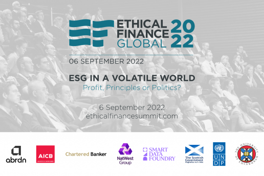The Global Ethical Finance Initiative (GEFI)