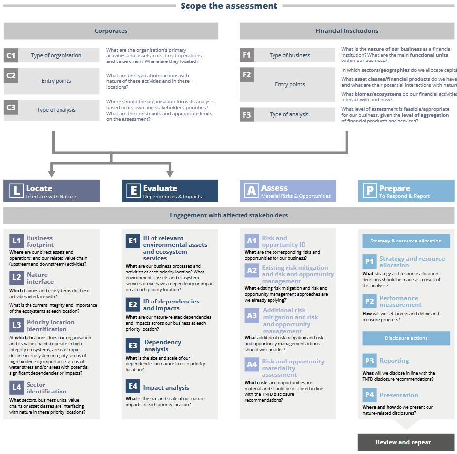 TNFD launch beta version of Framework - Global Ethical Finance Initiative