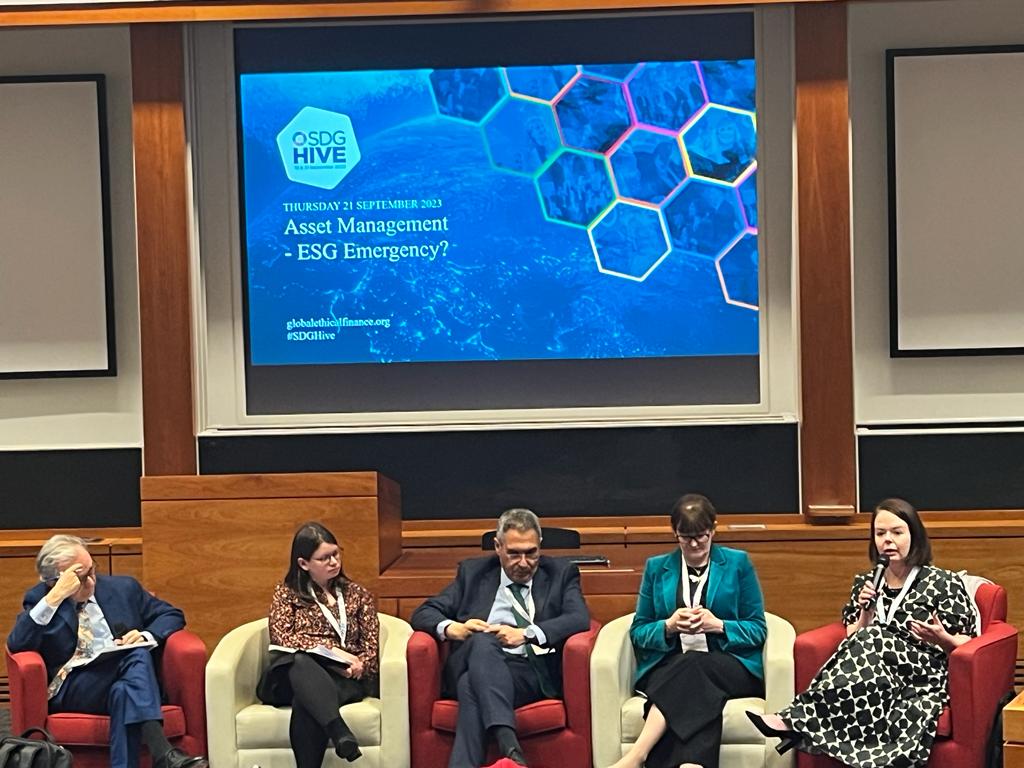SDG Hive - The Photobook - Global Ethical Finance Initiative