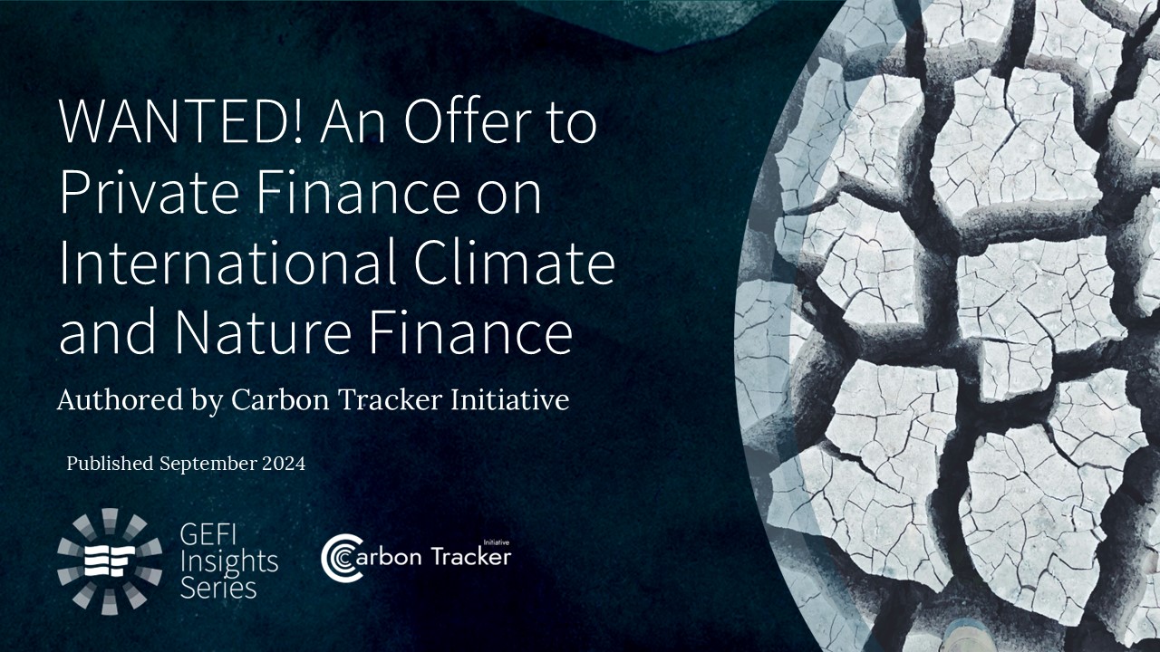 GEFI Insights Series - Global Ethical Finance Initiative
