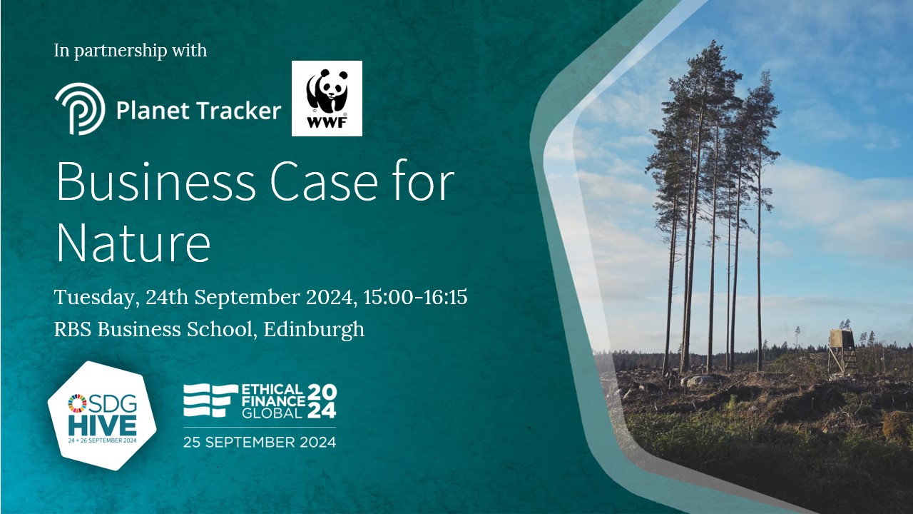 SDG Hive Highlights 2024 - Global Ethical Finance Initiative