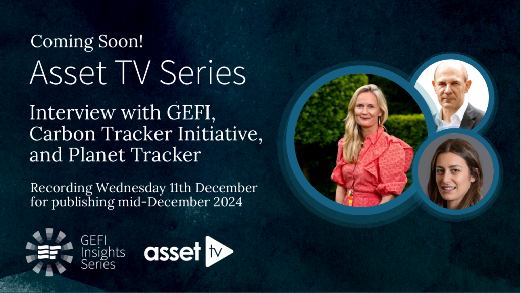 GEFI Insights Series - Global Ethical Finance Initiative