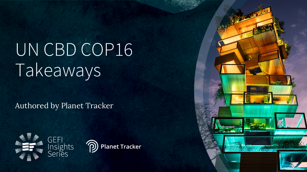 GEFI Insights Series - Global Ethical Finance Initiative